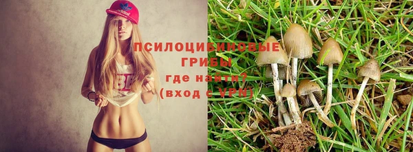 MDMA Алексин