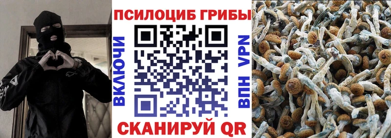 Псилоцибиновые грибы Psilocybe  наркота  MEGA зеркало  Зарайск 